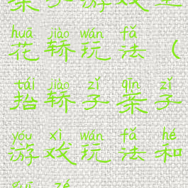 亲子游戏坐花轿玩法(抬轿子亲子游戏玩法和规则)