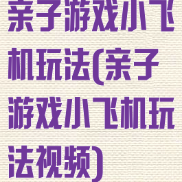 亲子游戏小飞机玩法(亲子游戏小飞机玩法视频)