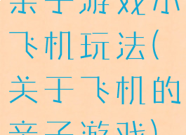 亲子游戏小飞机玩法(关于飞机的亲子游戏)