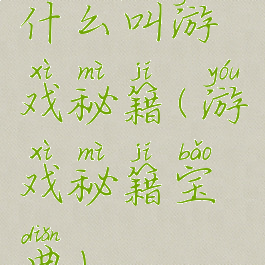 什么叫游戏秘籍(游戏秘籍宝典)