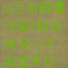 仙境传说ro手游最强攻略(仙境传说ro手游新手攻略)