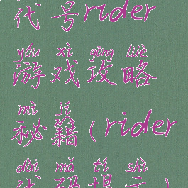 代号rider游戏攻略秘籍(rider代码提示)