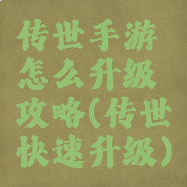 传世手游怎么升级攻略(传世快速升级)