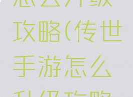 传世手游怎么升级攻略(传世手游怎么升级攻略大全)