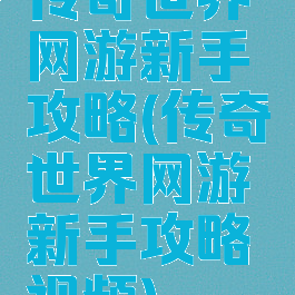 传奇世界网游新手攻略(传奇世界网游新手攻略视频)