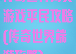 传奇世界网页游戏平民攻略(传奇世界端游攻略)