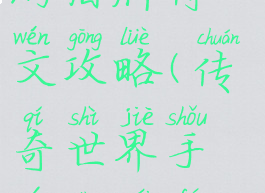 传奇世界手游盾牌符文攻略(传奇世界手游盾牌符文攻略图)