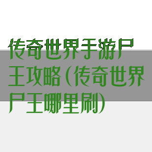 传奇世界手游尸王攻略(传奇世界尸王哪里刷)