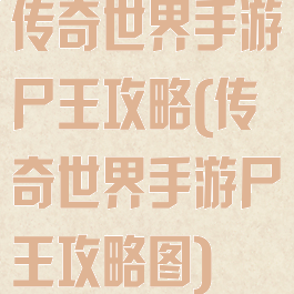 传奇世界手游尸王攻略(传奇世界手游尸王攻略图)