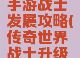 传奇世界手游战士发展攻略(传奇世界战士升级路线)