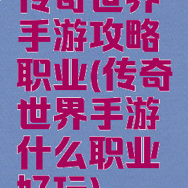 传奇世界手游攻略职业(传奇世界手游什么职业好玩)