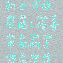 传奇单机新手升级攻略(传奇单机新手升级攻略视频)