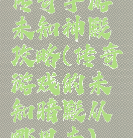 传奇手游未知神殿攻略(传奇游戏的未知暗殿从哪里去)