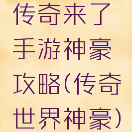 传奇来了手游神豪攻略(传奇世界神豪)