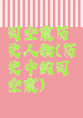 司空震历史人物(历史中的司空震)