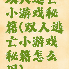 双人逃亡小游戏秘籍(双人逃亡小游戏秘籍怎么用)