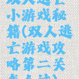 双人逃亡小游戏秘籍(双人逃亡游戏攻略第二关怎么过)