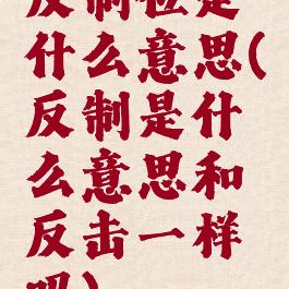 反制位是什么意思(反制是什么意思和反击一样吗)
