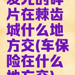 发光的碎片在棘齿城什么地方交(车保险在什么地方交)