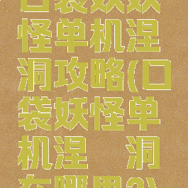 口袋妖妖怪单机涅槃洞攻略(口袋妖怪单机涅槃洞在哪里?)
