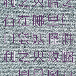 口袋妖怪胜利之火暗之石在哪里(口袋妖怪胜利之火攻略一周目图文)