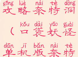 口袋怪单机攻略奈特洞(口袋妖怪单机版奈特洞怎么过)