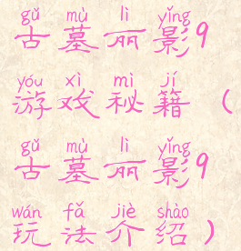 古墓丽影9游戏秘籍(古墓丽影9玩法介绍)
