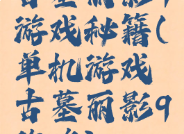 古墓丽影9游戏秘籍(单机游戏古墓丽影9攻略)