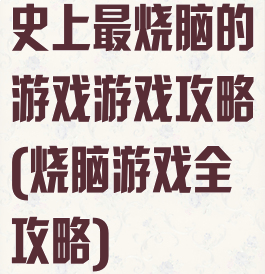史上最烧脑的游戏游戏攻略(烧脑游戏全攻略)