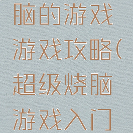 史上最烧脑的游戏游戏攻略(超级烧脑游戏入门攻略)