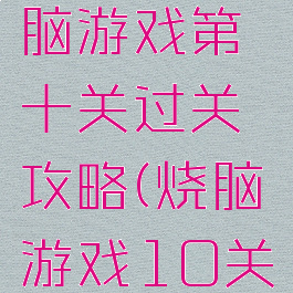 史上最烧脑游戏第十关过关攻略(烧脑游戏10关答案)