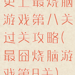 史上最烧脑游戏第八关过关攻略(最囧烧脑游戏第8关)