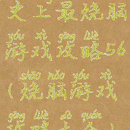 史上最烧脑游戏攻略56(烧脑游戏攻略大全)