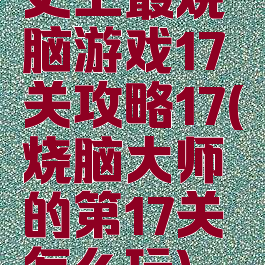 史上最烧脑游戏17关攻略17(烧脑大师的第17关怎么玩)
