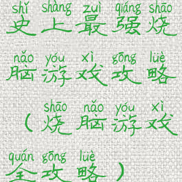 史上最强烧脑游戏攻略(烧脑游戏全攻略)