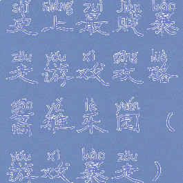 史上最贱暴走游戏攻略高雅乐园(游戏暴走)