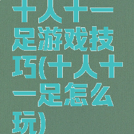 十人十一足游戏技巧(十人十一足怎么玩)