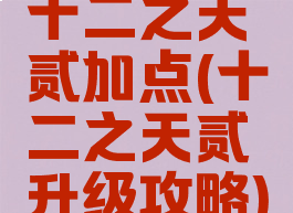 十二之天贰加点(十二之天贰升级攻略)