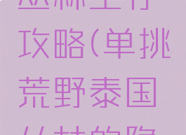 单挑荒野游戏泰国丛林生存攻略(单挑荒野泰国丛林的隐藏任务怎么完成)