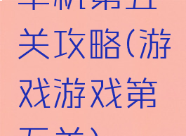 单机第五关攻略(游戏游戏第五关)