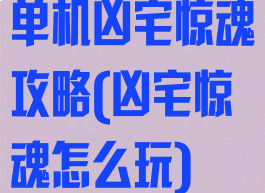 单机凶宅惊魂攻略(凶宅惊魂怎么玩)