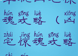 单机凶宅惊魂攻略(凶宅惊魂攻略视频)