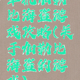 单机加勒比海盗游戏攻略(关于加勒比海盗的游戏)