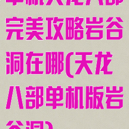 单机天龙八部完美攻略岩谷洞在哪(天龙八部单机版岩谷洞)