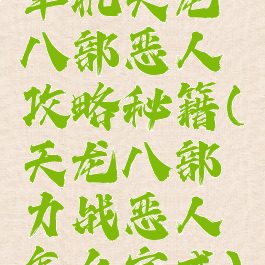 单机天龙八部恶人攻略秘籍(天龙八部力战恶人怎么完成)
