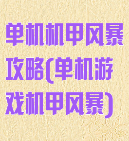 单机机甲风暴攻略(单机游戏机甲风暴)
