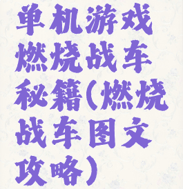 单机游戏燃烧战车秘籍(燃烧战车图文攻略)