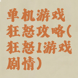 单机游戏狂怒攻略(狂怒1游戏剧情)