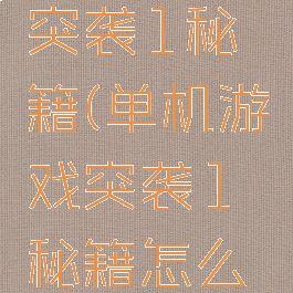 单机游戏突袭1秘籍(单机游戏突袭1秘籍怎么用)