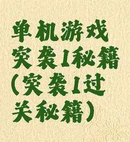 单机游戏突袭1秘籍(突袭1过关秘籍)